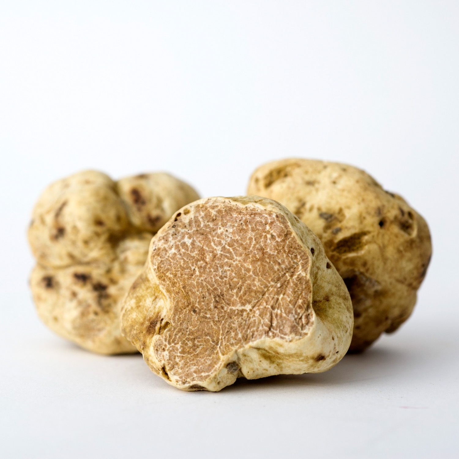 1-White-Truffle-Tuber-Magnatum-Pico.jpg