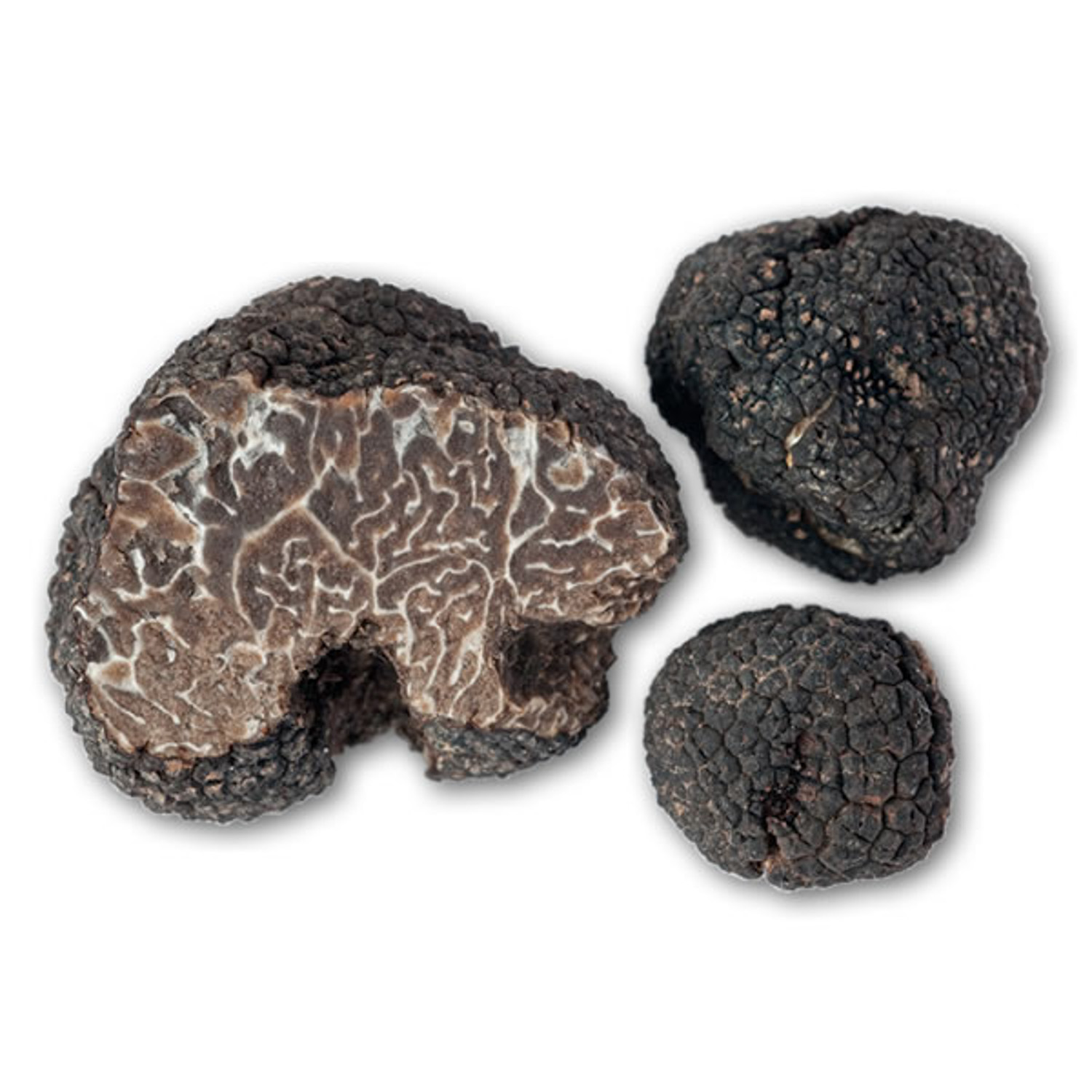 Tuber mesentericum трюфель