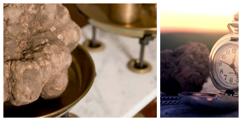 Truffle Sizes, italian truffles, Macerata, Marche, Tartufi