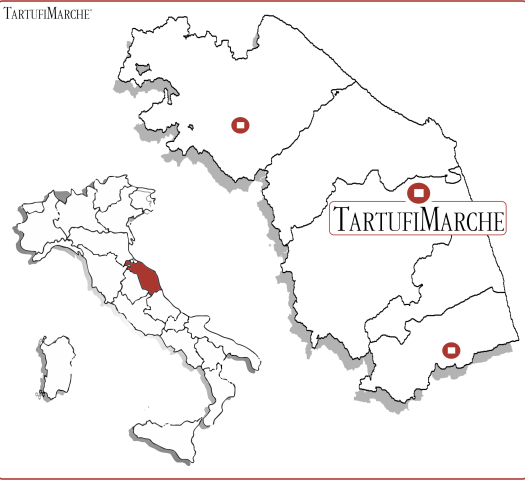 Contatti Tartufi Fornitore Tartufi